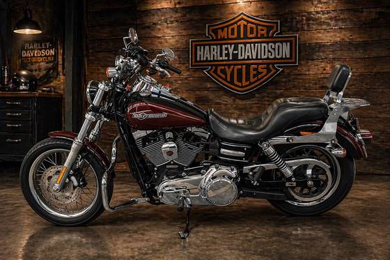 HARLEY-DAVIDSON DYNA SUPER GLIDE CUSTOM 
